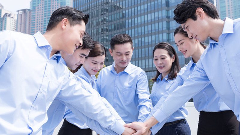 集团企业管理咨询定制方案对比