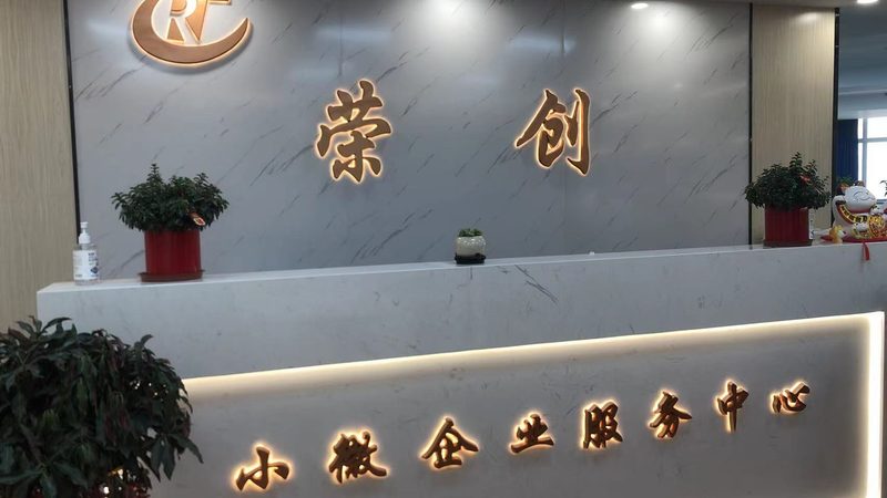 风险分析报告：费用与可行性研究**