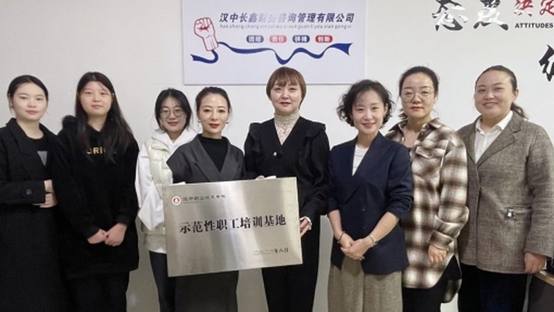 战略咨询实施案例分析：解码企业转型升级之路
